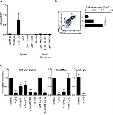 Expression of the Phosphatase Ppef2 Controls Survival and Function of CD8+ Dendritic Cells